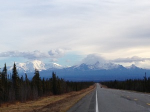 uitzicht op de Alaska Range | Tok